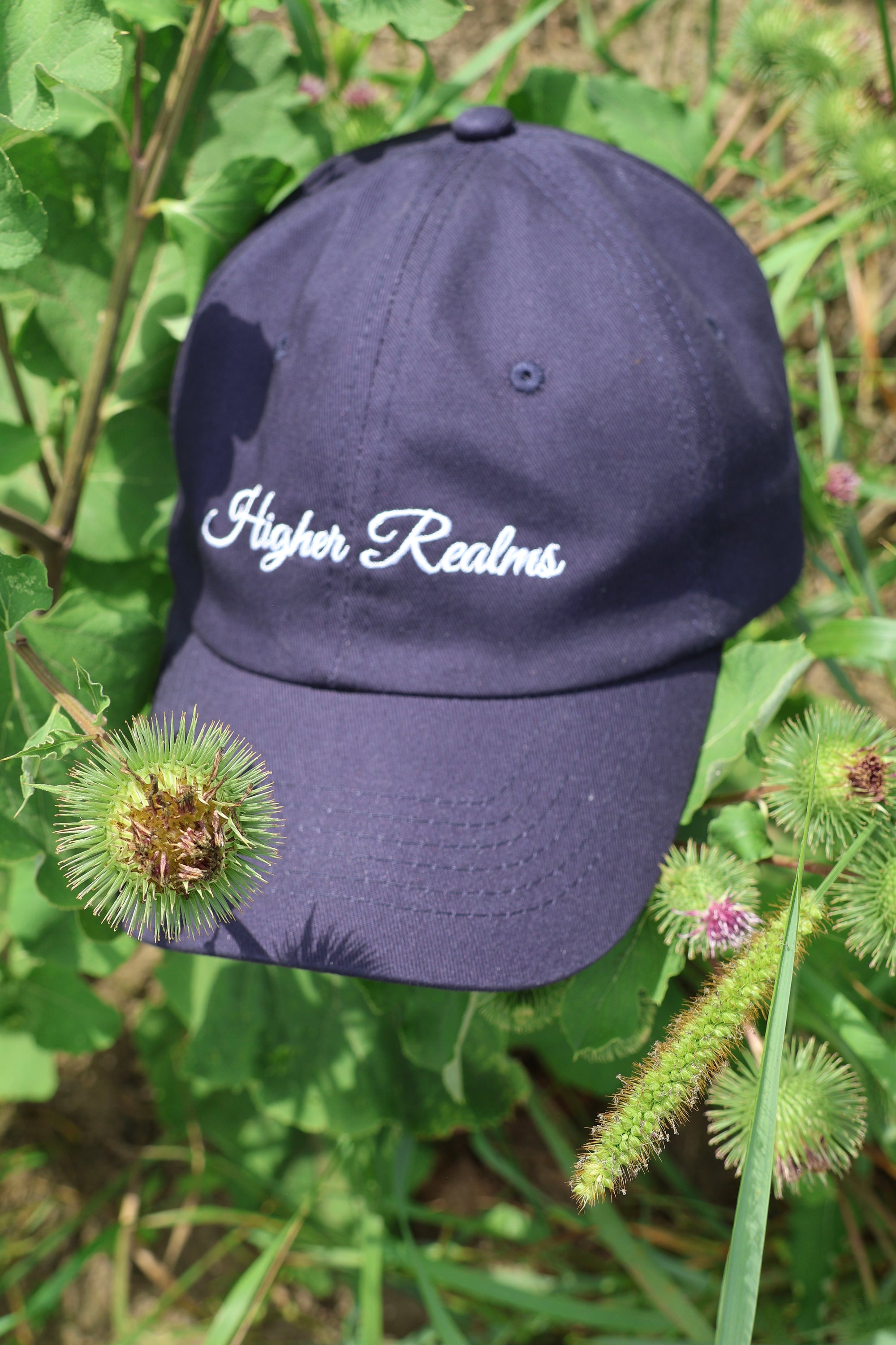 THE CAP Higher Realms