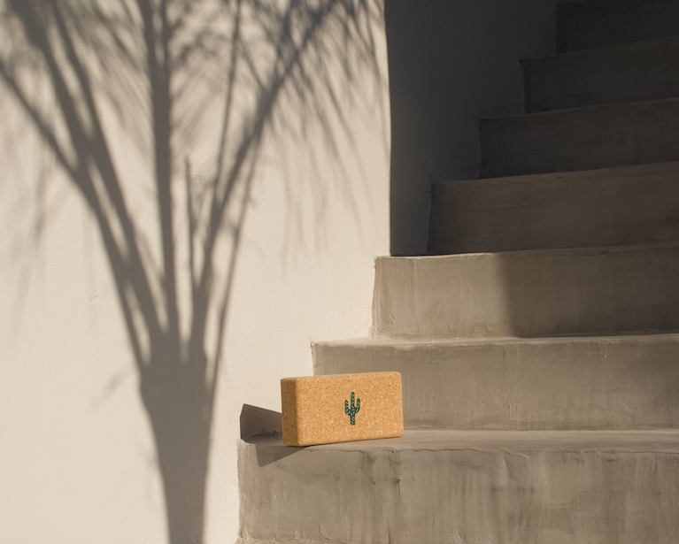 Cork Yoga-Block Cactus